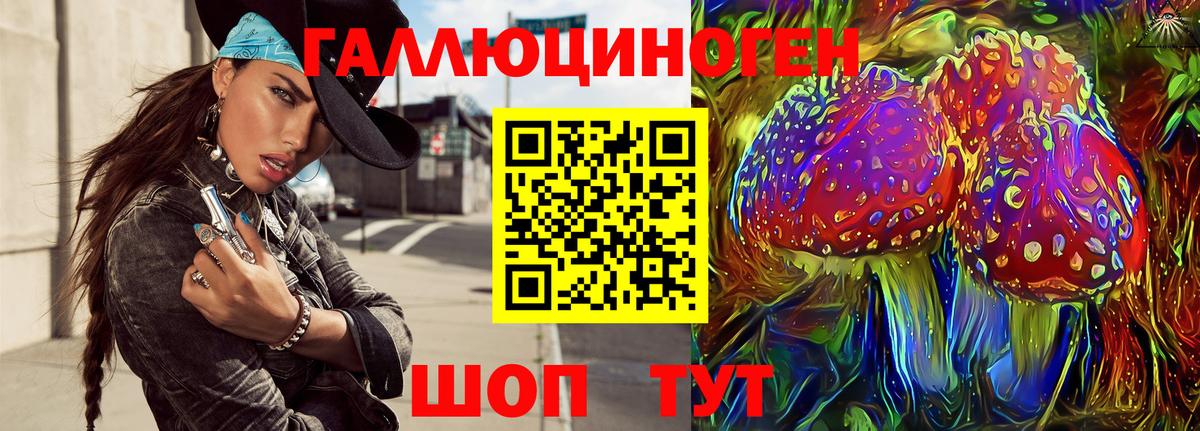 Королёв  Псилоцибиновые грибы прущие грибы  хочу наркоту  Вход с VPN 