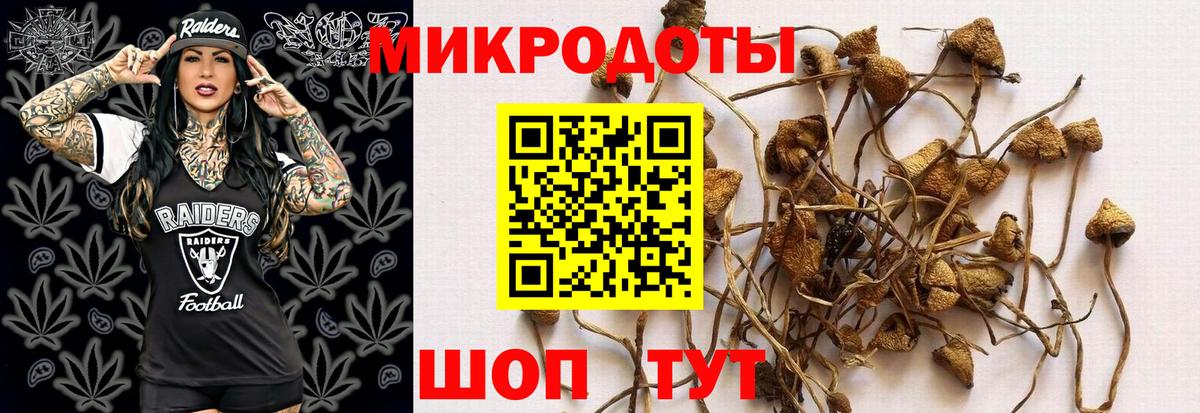 Галлюциногенные грибы ЛСД Королёв